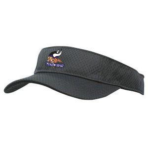 Visor